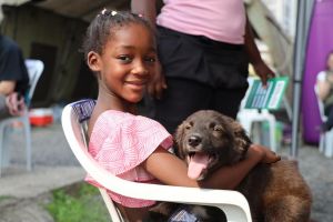 Isto é uma de uma cachorra para adoção