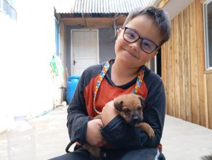 Isto é uma imagem de um cachorro para adoção