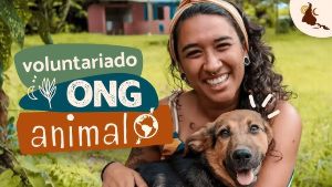 Imagem de voluntários ajudando animais